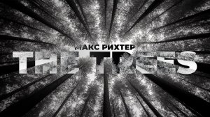 The Trees - Макс Рихтер | Imperial Orchestra