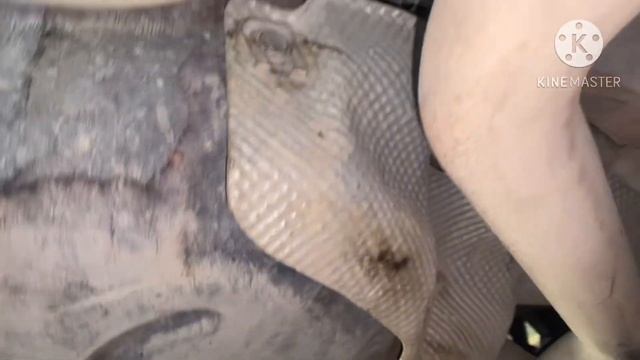 Fiat 2019 leaking fuel tank смотреть онлайн