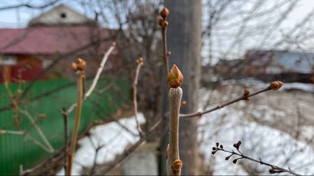 Б Слуцкий  Разные измерения #стихиовойне#поэзия20века #поэтысоветскогоандеграунда