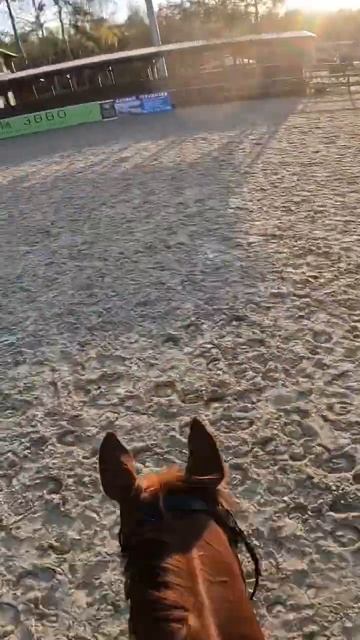 Прыжки от первого лица смотреть онлайн