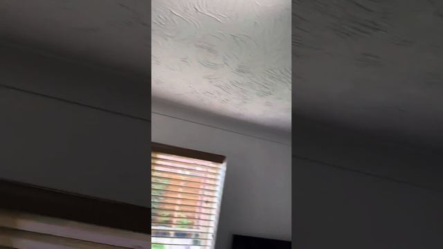 Smart GU10 Smart light bulbs ina box of 6 . смотреть онлайн