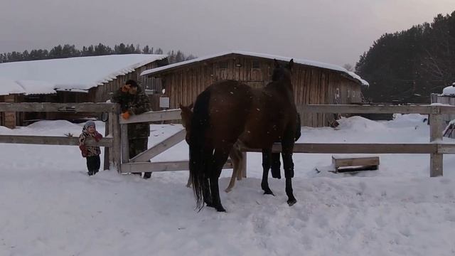 Эхнатон19.02.23г. Первая прогулка. смотреть онлайн