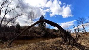 А  Ахматова  Сон #стихиолюбви #поэтысеребряноговека