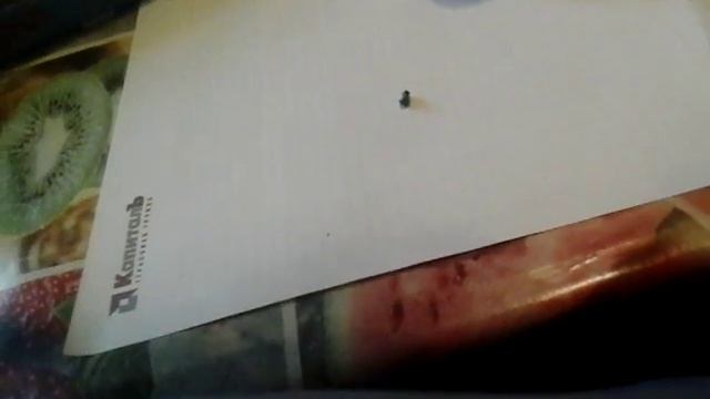 Затонировал ауди смотреть онлайн