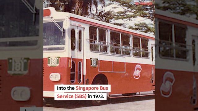 Singapore's Bus Services - From Disarray To Order смотреть онлайн