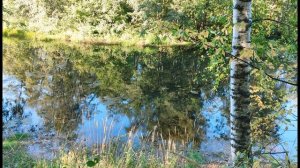 И  Никитин  Утро на берегу озера #стихиодетях #поэты19века