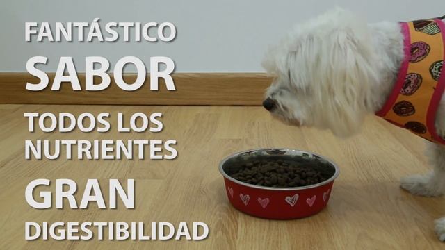 Pienso Criadores Grain Free - Tiendanimal смотреть онлайн