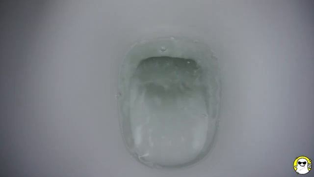 Will it Flush? Lots Of Cadbury Oreo Egg & M&Ms Mini Eggs смотреть онлайн