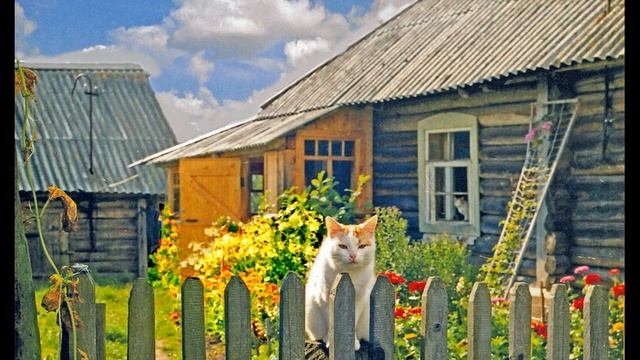 С  Есенин  В хате #стихиородине #поэтысеребряноговека