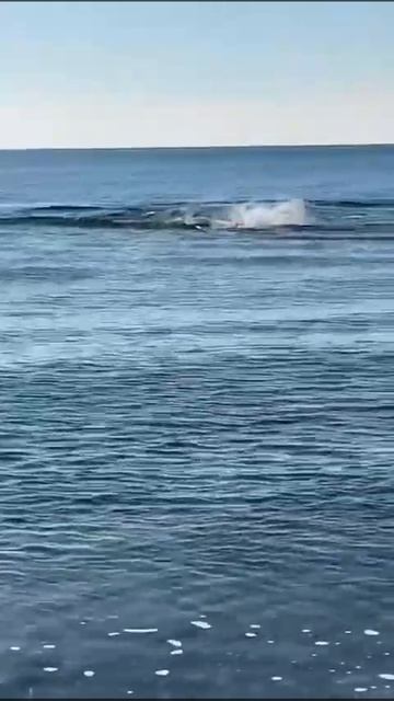 5.01.2025 Состояние пляжа 