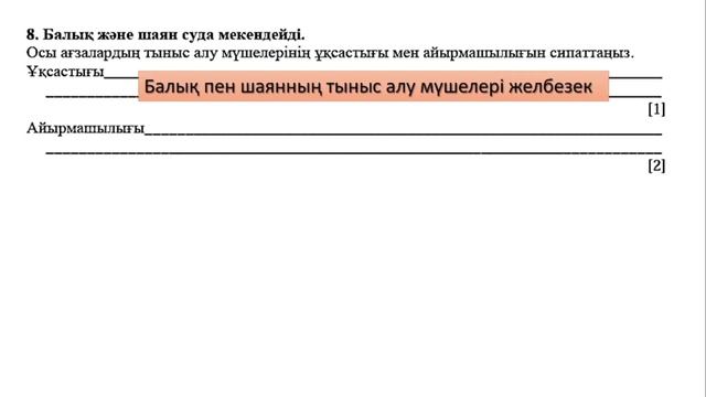ТЖБ 2 ТОҚСАН БИОЛОГИЯ 7 СЫНЫП