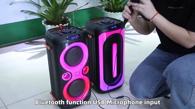 Party Speaker Series