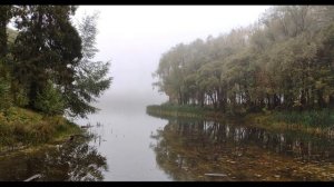 Н  Оцуп  Мне трудно без России #стихиородине #поэты20века #поэтырусскойэмиграции