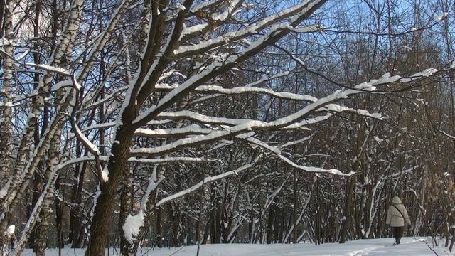 СНЕЖНАЯ СКАЗКА смотреть онлайн