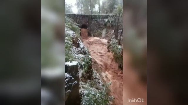 Ош облусуна караштуу Алайкуу өрөөнүндө бүгүн, кар жаады. Бул тууралуу социалдык тармактынколдонууч смотреть онлайн