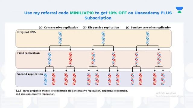GAT-B Revision | DNA Replication in Prokaryotes | Molecular Biology | Meenakshi Rajput смотреть онлайн
