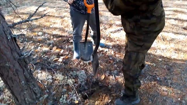 Коп металла на УЖД смотреть онлайн