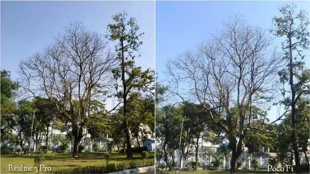 Realme 3 Pro VS Xiaomi Pocophone F1 Camera Test Comparison смотреть онлайн