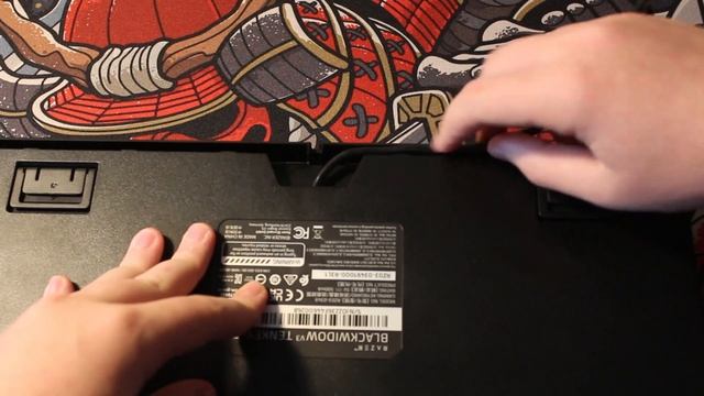 Razer BlackWidow V3 Tenkeyless Green Switch Unboxing