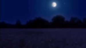 голоса котов воителей 2-ч