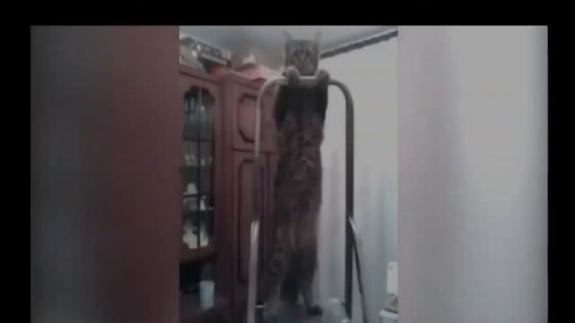 Funny Moments That Will Make You Cry From Laughter!