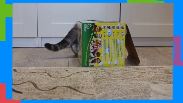 ОПАСНЫЙ НОМЕР! Котенок Лика. #8. GODIKPLUS. cat смотреть онлайн