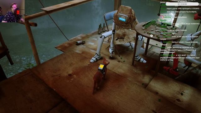 Stray Кошачьи приключения ► Заходи пообщаемся смотреть онлайн