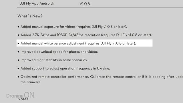 DJI Mavic Mini NEW FIRMWARE + MANUAL ISO/SHUTTER-SPEED! (v01.00.0500) смотреть онлайн