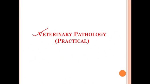 Veterinary 2nd Year...#Subjects#Syllabus смотреть онлайн
