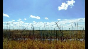 Е  Евтушенко  Старый друг #стихиодружбе #поэты20века