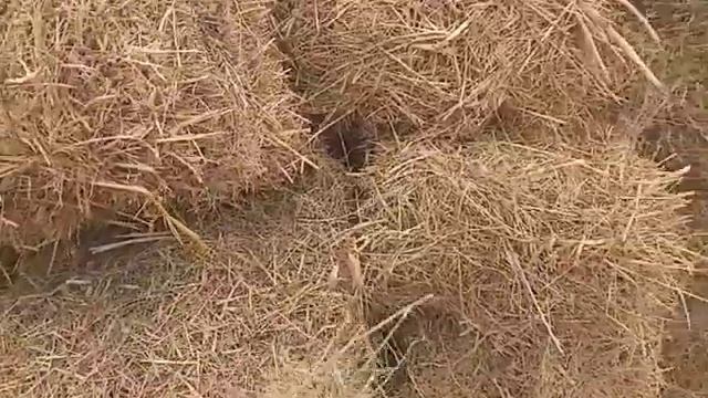 Преси Фуруши арзон срочно 111115780 тел смотреть онлайн