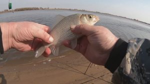 Ловля карася на спиннинг На пробку