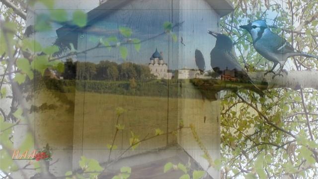 Ты моя гордость, Россия.