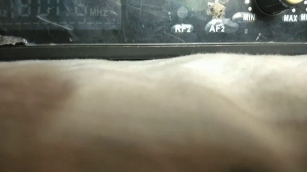 Studio Master XR 40 Corlece // Full details // Studio Master microphone