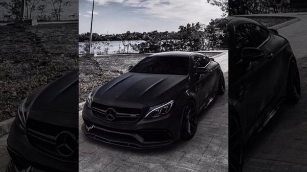 из чёрного мерина