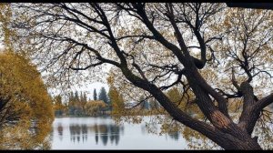 Р Гамзатов  Я вновь пришел сюда и сам не верю   Восьмистишья#аварскиепоэты#стихиодетстве#поэты20века