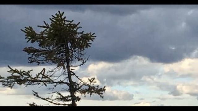 Игорь Северянин  Поэза отчаяния #философскаялирика #поэтыСеребряноговека