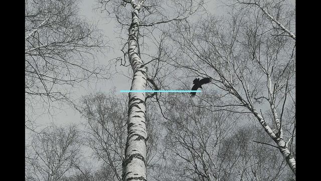 И Бродский  Ничто не стоит сожалений #стихиолюбви  #поэты20века