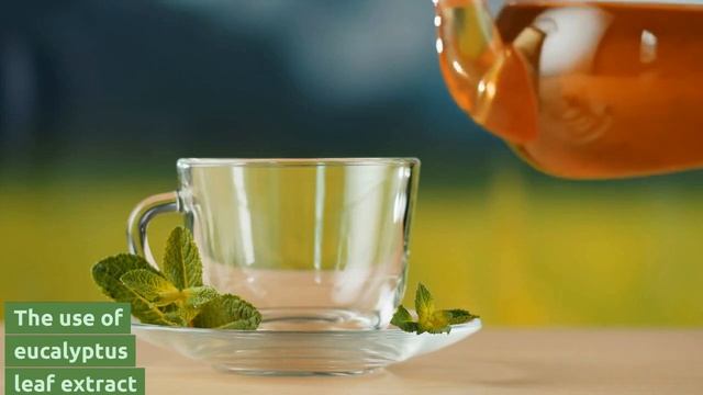 Eucalyptus Tea, Superb 5 Benefits of This Beverage смотреть онлайн