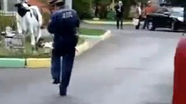 ДПСник отжигает в аццком танце! смотреть онлайн