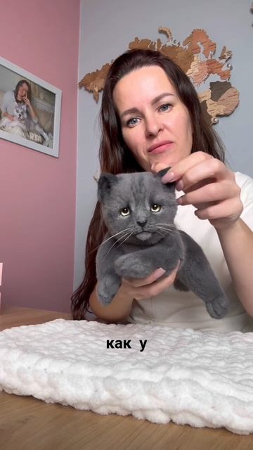 Какой вариант вам больше нравится: когда ушки плотно прижаты к голове или подняты?😻)