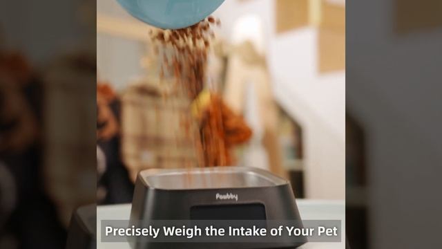 Pawbby Smart Bowl｜Get Started A Healthier Life For Your Pet смотреть онлайн