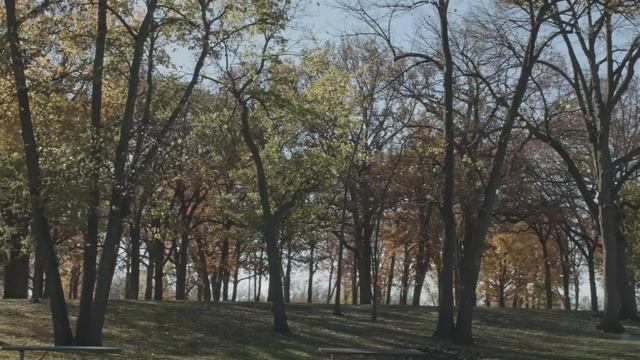 4K CinemaDNG RAW Color Grading Test on Blackmagic Production Camera 4K смотреть онлайн