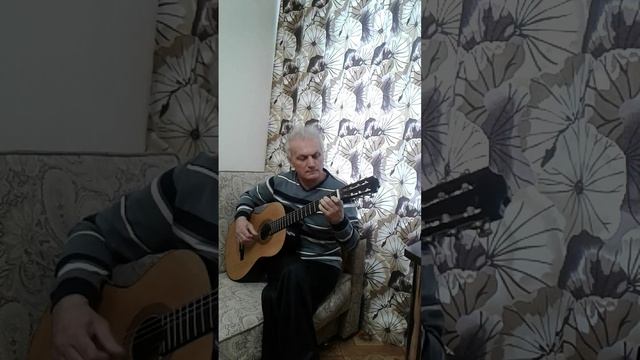 Коробейники на гитаре,  слушатель кошка Мура