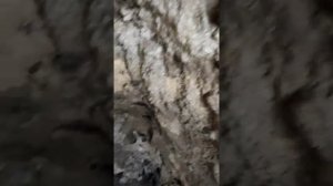 замена втулок стабилизатора на Рено Меган 3 + проблемы с тягами стабилизатора