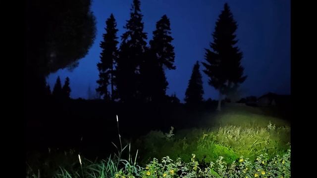 А Вознесенский  Ностальгия по настоящему #философскаялирика   #поэты20века