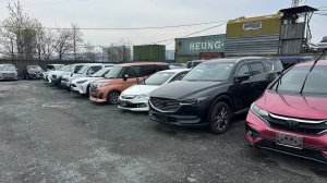 Зеленый Угол Владивосток Авторынок Авто из Японии | MAZDA | TOYOTA | NISSAN | SUZUKI | SUBARU