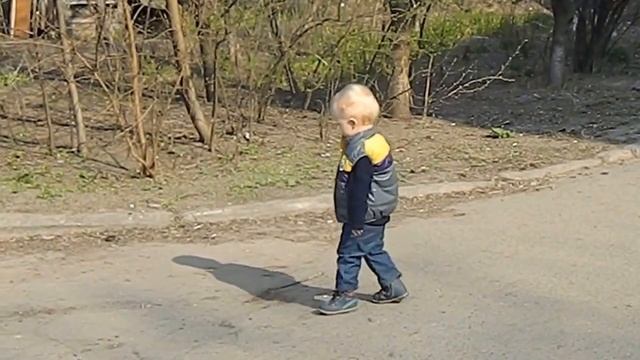 Лев прогуливается на улице Boy Leo walking in the spring on the street смотреть онлайн