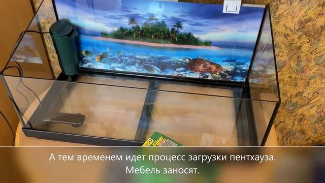Repto Aqua Penthouses 2021 смотреть онлайн