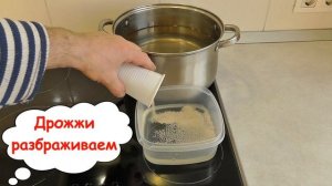 Шампанское из берёзового сока. Научу за 5 минут.